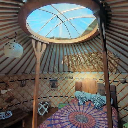 Green Man Yurt Penela Luaran gambar