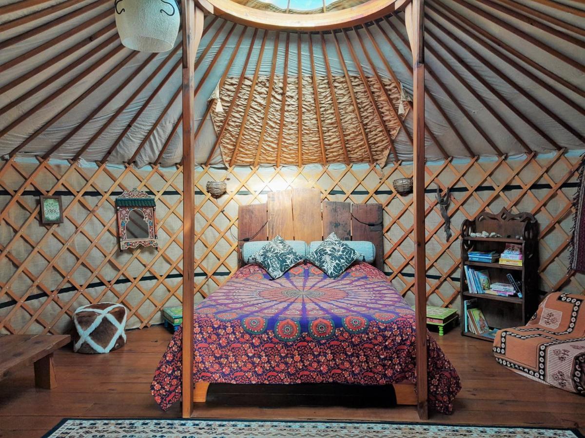 Green Man Yurt Penela Luaran gambar